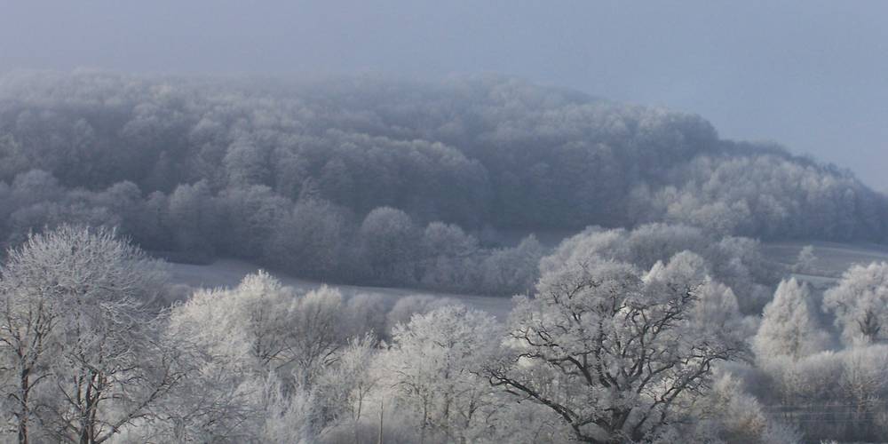 Sous un manteau d'hiver -  GAEC DU CHEMIN PERRAY (Normandie, Orne)