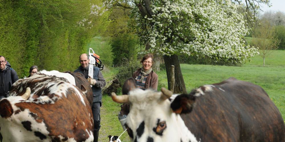  GAEC DU CHEMIN PERRAY (Normandie, Orne)