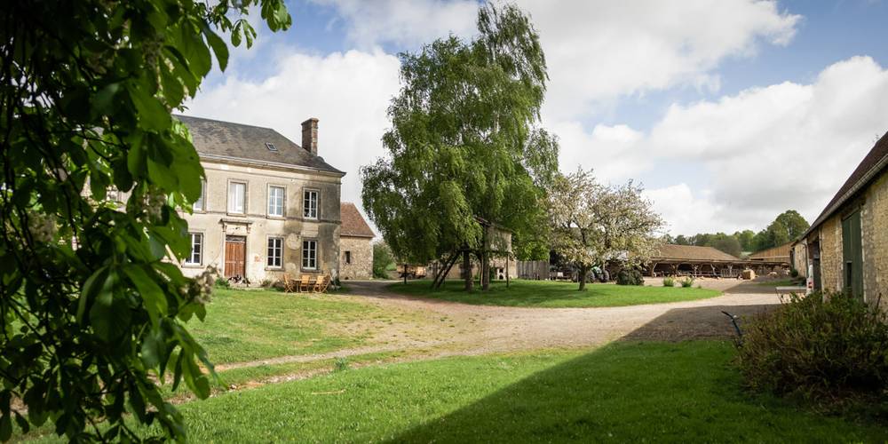 La cour de la ferme -  GAEC DU CHEMIN PERRAY (Normandie, Orne)