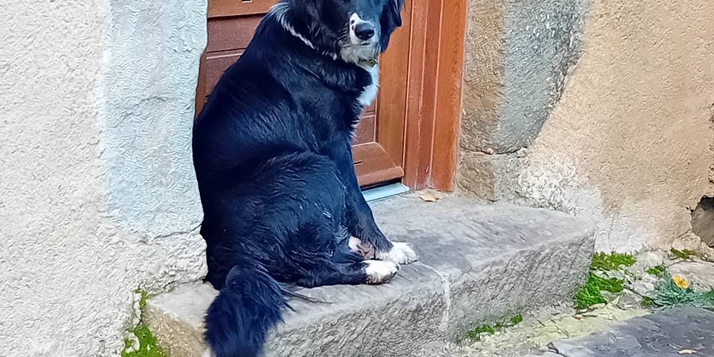 Naya -  GÎTE AU BOUT DU CHEMIN (Auvergne-Rhône-Alpes, Drôme)