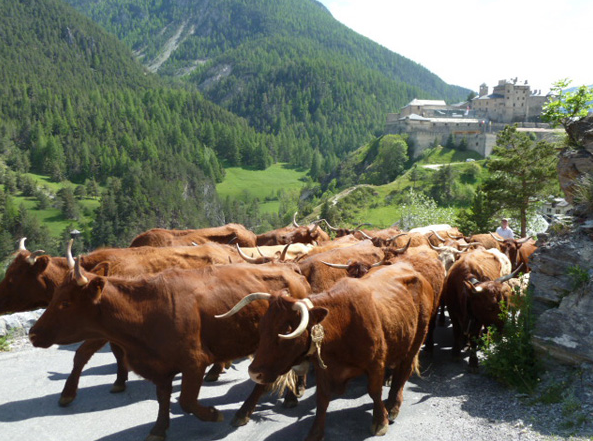  LES OULES (Provence-Alpes-Côte d’Azur, Hautes-Alpes)