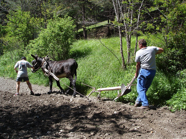  LES OULES (Provence-Alpes-Côte d’Azur, Hautes-Alpes)