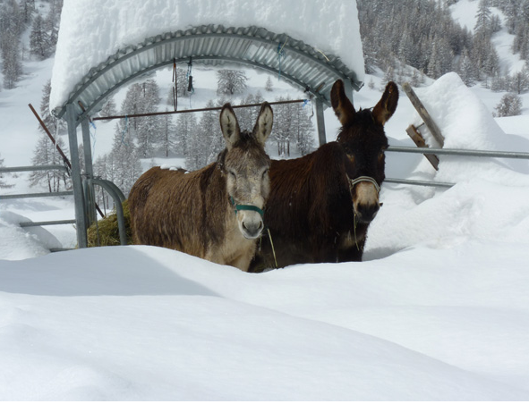  LES OULES (Provence-Alpes-Côte d’Azur, Hautes-Alpes)