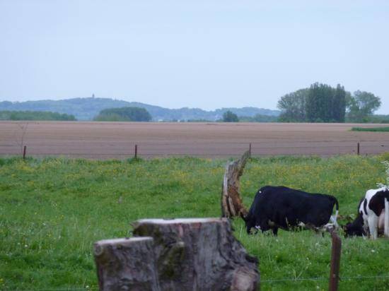  LA FERME DU CHEMIN DES DEUX ARBRES (Hauts-de-France, Nord)