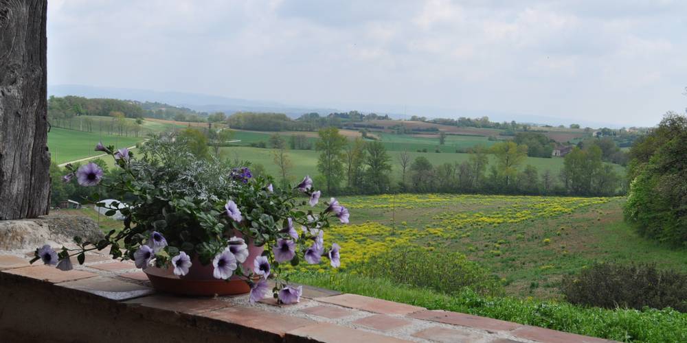 la Galine - La plaine castraise vue de la terrasse -  DOMAINE DE PUY SAINT JAMMES (Occitanie, Tarn)