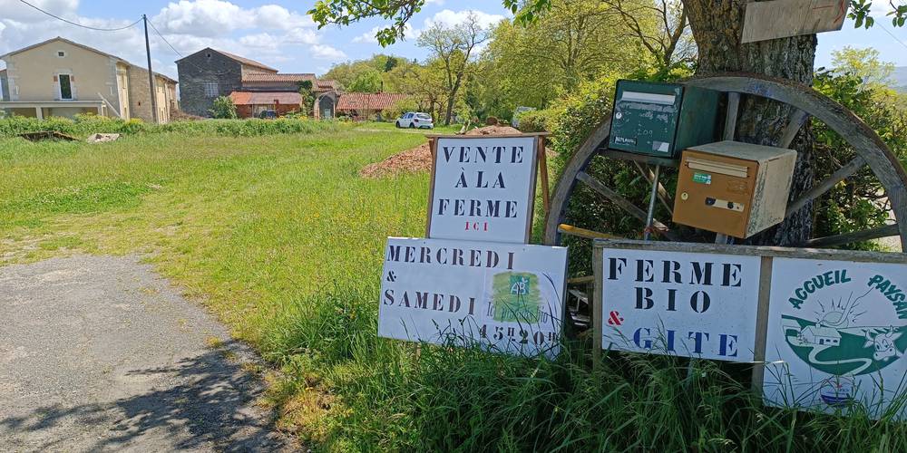 Entrée de la ferme -  DOMAINE DE PUY SAINT JAMMES (Occitanie, Tarn)