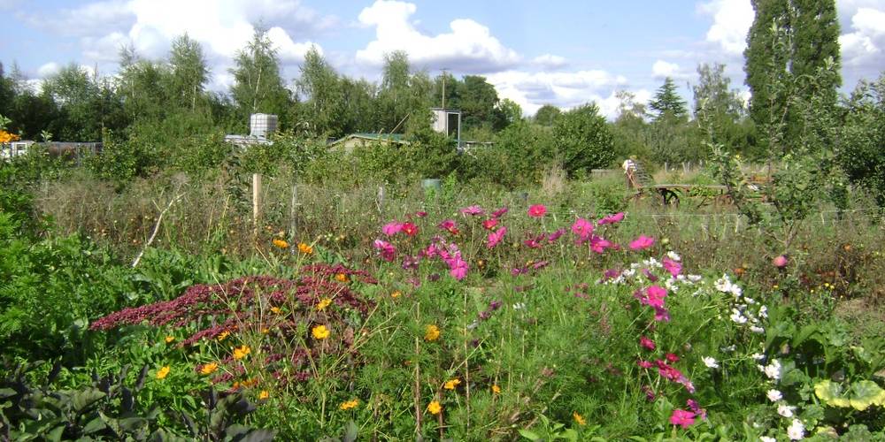  LE BIAU JARDIN (Pays de la Loire, Maine-et-Loire)