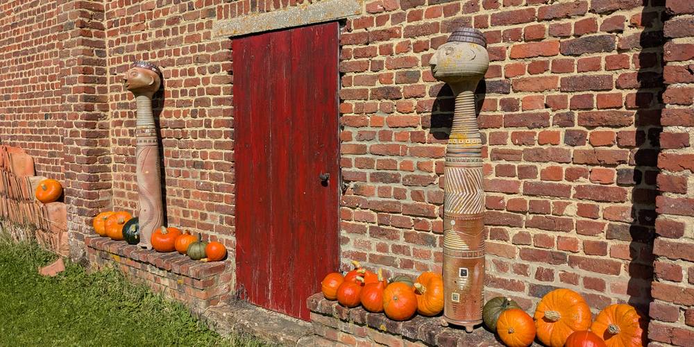 Récolte d'automne -  GÎTE DE LA POTERIE (Hauts-de-France, Pas-de-Calais)