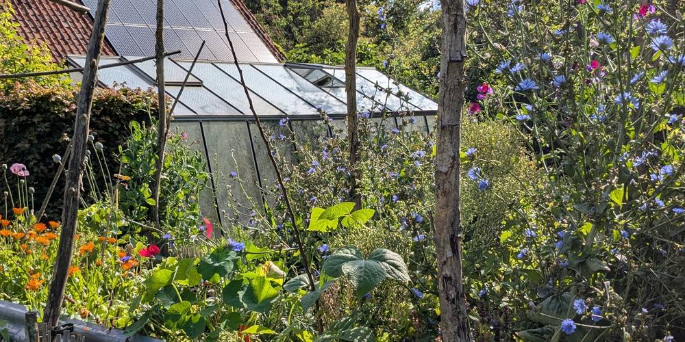On a relevé le sol pour que la terre soit moins basse -  GÎTE DE LA POTERIE (Hauts-de-France, Pas-de-Calais)