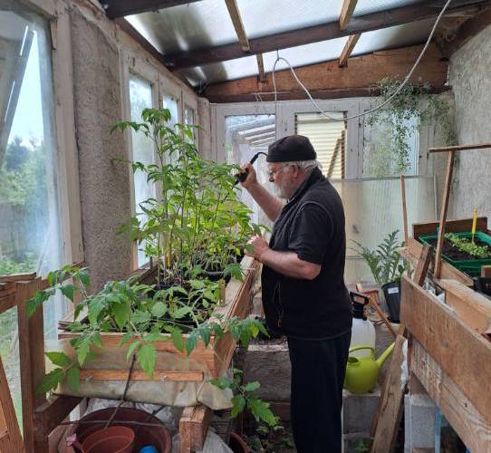 Les jardins de Fraîche Comté : dans les serres -  LES JARDINS DE FRAICHE COMTE (Bourgogne-Franche-Comté, Doubs)