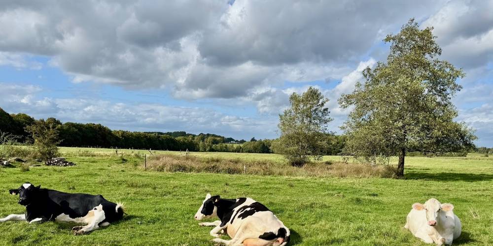 Un endroit calme et reposant. -  AU COEUR DES CHAMPS (Grand Est, Ardennes)