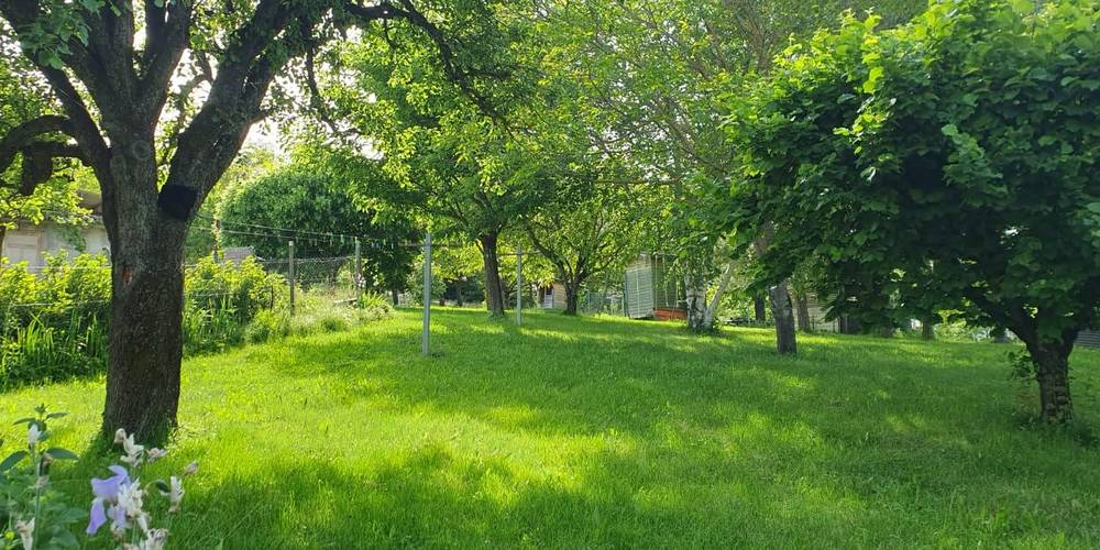  Gîte de Chamorin (Auvergne-Rhône-Alpes, Drôme)