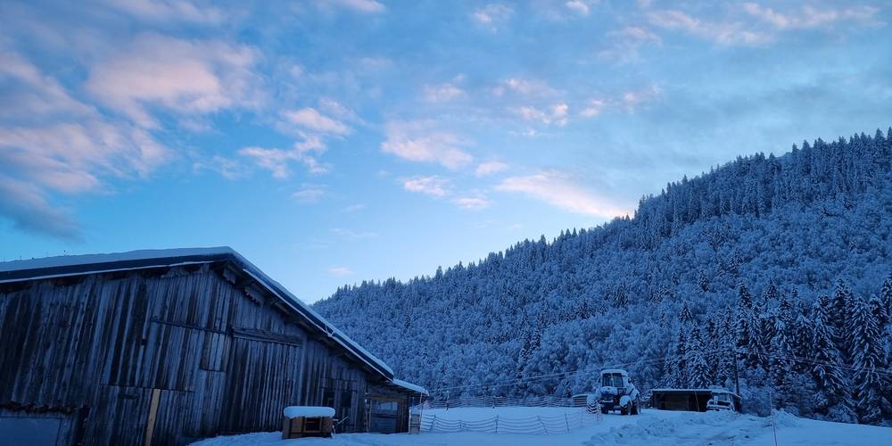  LA FERME AU CHAPEAU VERT (Bourgogne-Franche-Comté, Jura)