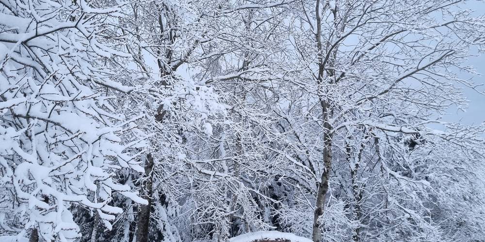  LA FERME AU CHAPEAU VERT (Bourgogne-Franche-Comté, Jura)