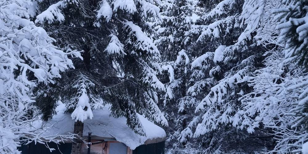  LA FERME AU CHAPEAU VERT (Bourgogne-Franche-Comté, Jura)
