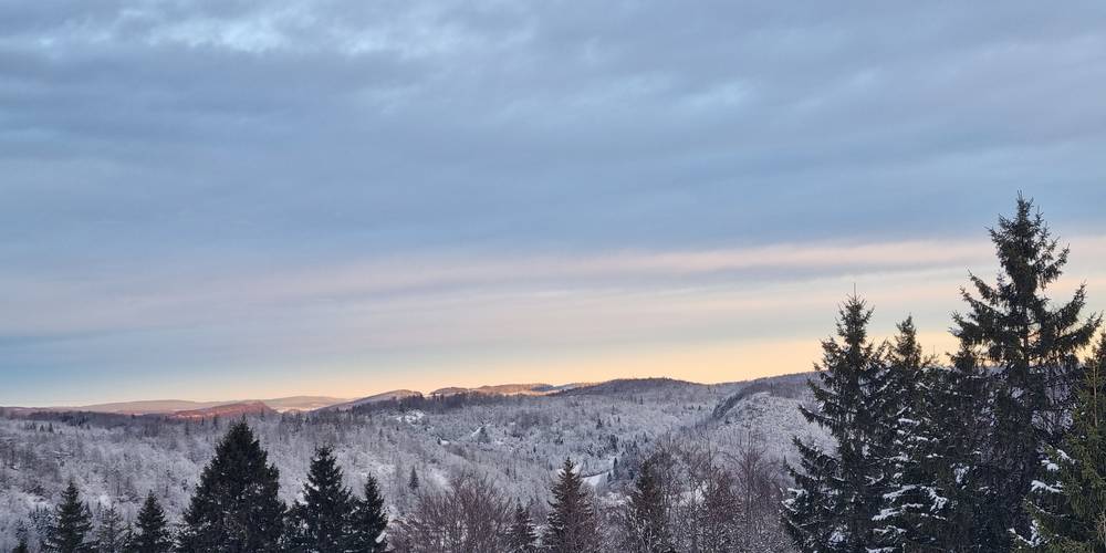  LA FERME AU CHAPEAU VERT (Bourgogne-Franche-Comté, Jura)