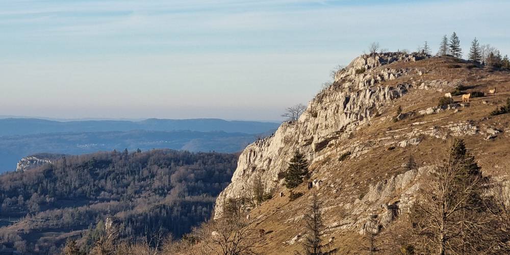  LA FERME AU CHAPEAU VERT (Bourgogne-Franche-Comté, Jura)