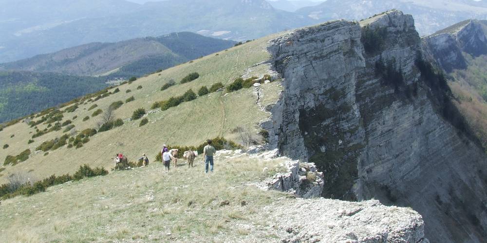 la vue depuis le  Raton , montagne au dessus de la ferme -  FERME DE PIERRE VIEILLE (Auvergne-Rhône-Alpes, Drôme)