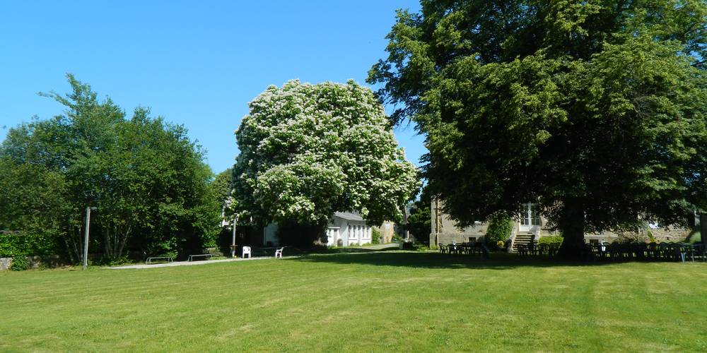 LE PARC -  AU DOMAINE DE MEILHAC (Nouvelle-Aquitaine, Corrèze)