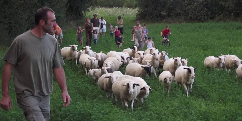  THE STRAW FARM (Occitanie, Lot)