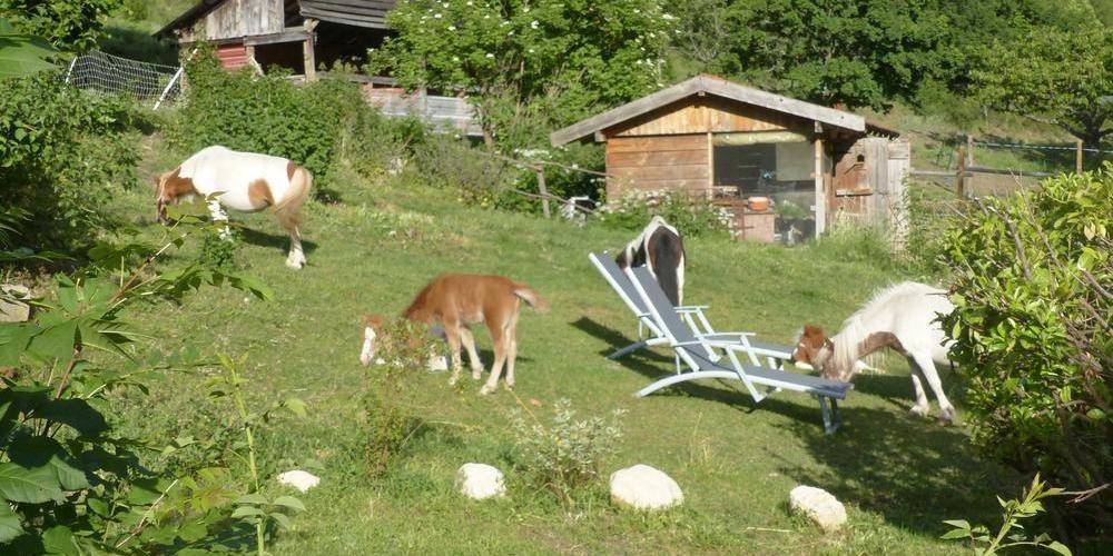 Le Hameau de Villauret en compagnie des poneys -  LE HAMEAU DE VILLAURET (Provence-Alpes-Côte d’Azur, Hautes-Alpes)