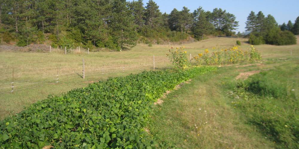  LE PERILHOU (Occitanie, Aude)