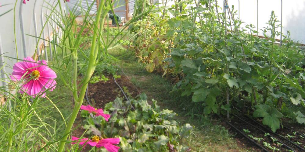  LE PERILHOU (Occitanie, Aude)