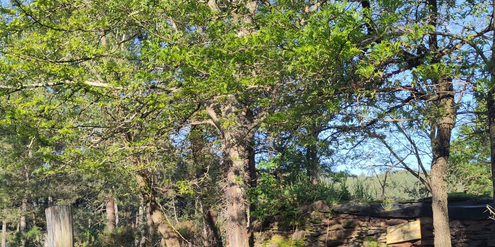  Ferme bio de La Baraque (Occitanie, Gard)