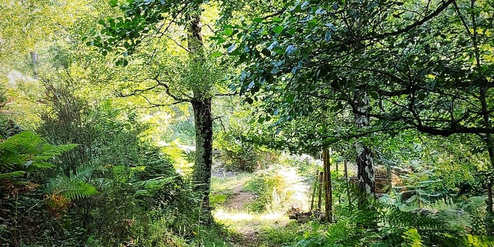  Ferme bio de La Baraque (Occitanie, Gard)