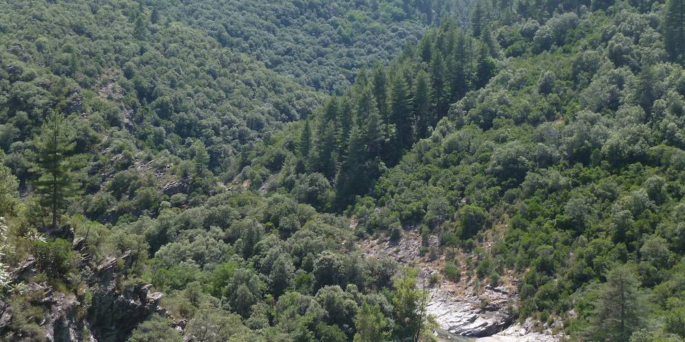 La rivière sauvage, accessible à pied. -  Ferme bio de La Baraque (Occitanie, Gard)
