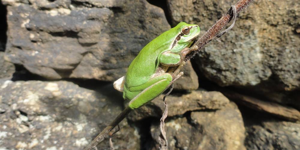  Ferme bio de La Baraque (Occitanie, Gard)