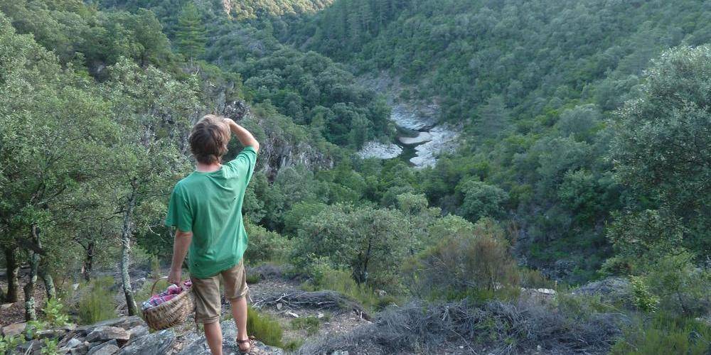 Le chemin pour la rivière. -  Ferme bio de La Baraque (Occitanie, Gard)