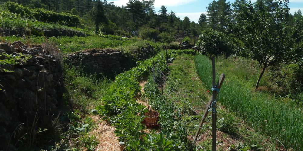  Ferme bio de La Baraque (Occitanie, Gard)