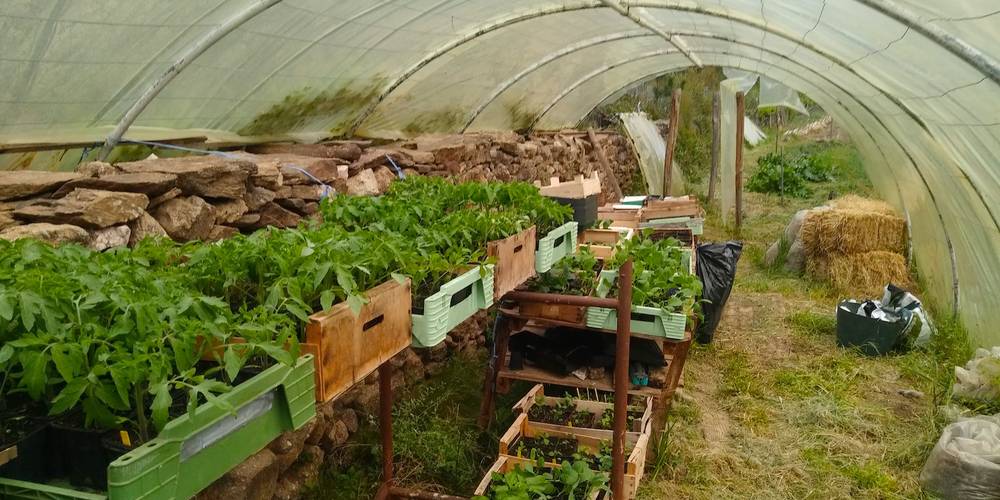  Ferme bio de La Baraque (Occitanie, Gard)