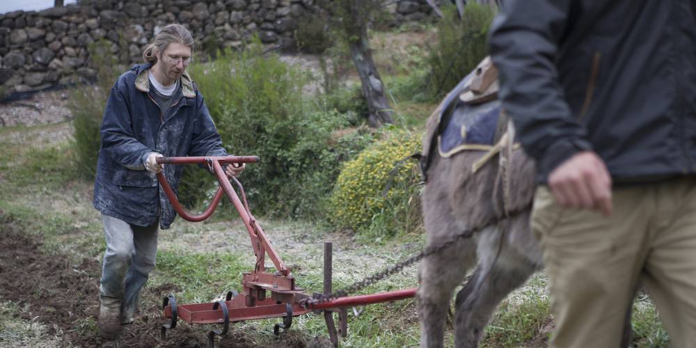  Ferme bio de La Baraque (Occitanie, Gard)