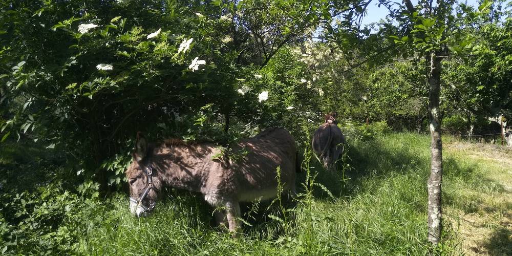  Ferme bio de La Baraque (Occitanie, Gard)