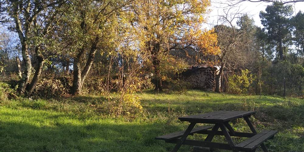Les arbres ne sont jamais loin. -  Ferme bio de La Baraque (Occitanie, Gard)