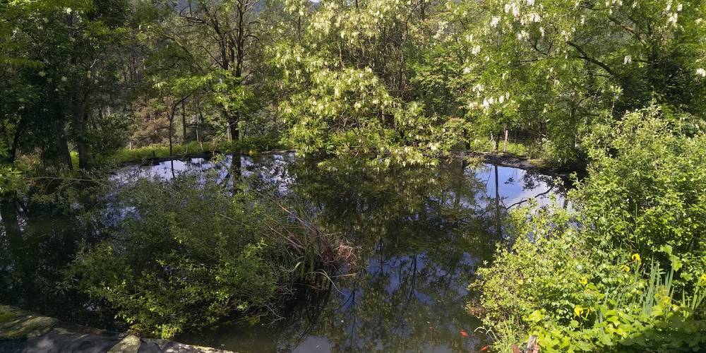  Ferme bio de La Baraque (Occitanie, Gard)