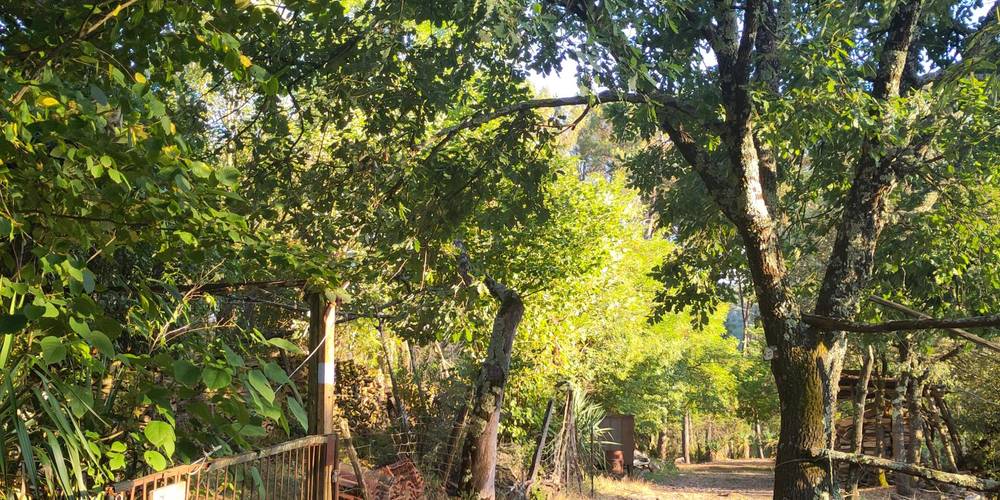  Ferme bio de La Baraque (Occitanie, Gard)