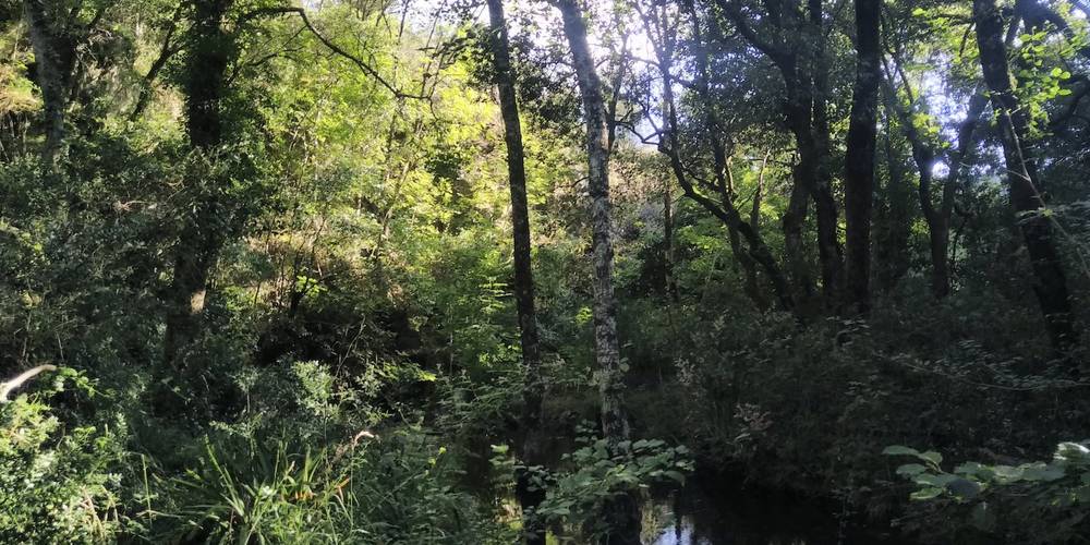  Ferme bio de La Baraque (Occitanie, Gard)
