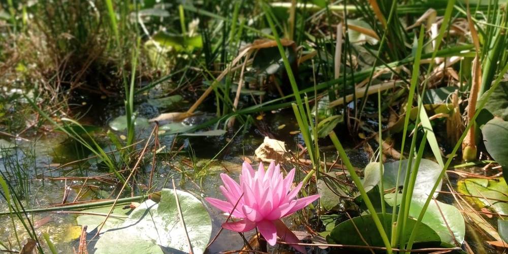  Ferme bio de La Baraque (Occitanie, Gard)