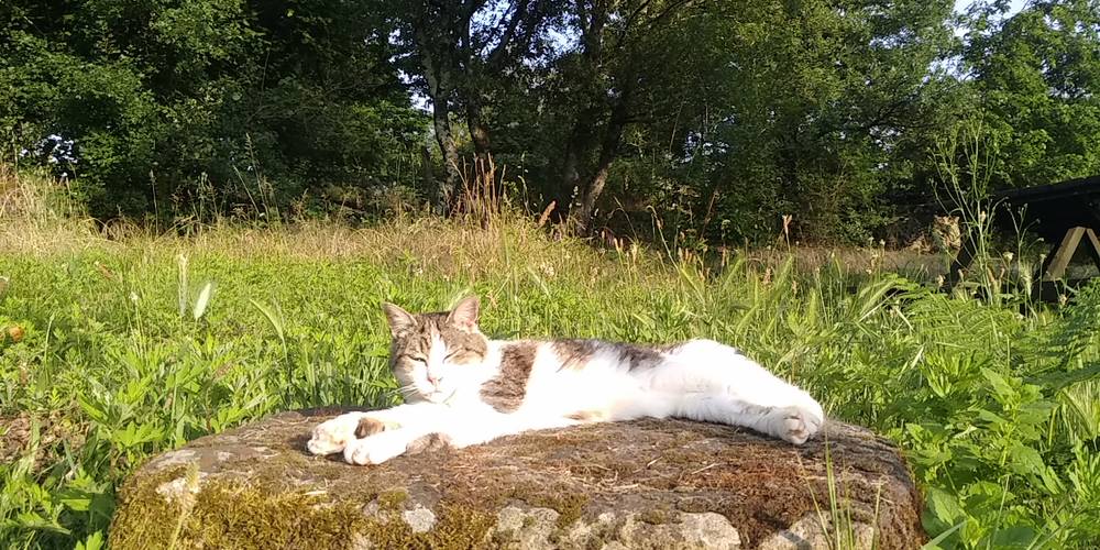 "Chuuuut, sieste en cours..." -  Ferme bio de La Baraque (Occitanie, Gard)