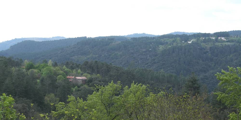 Les Cévennes, écrin de verdure à notre ferme... -  Ferme bio de La Baraque (Occitanie, Gard)