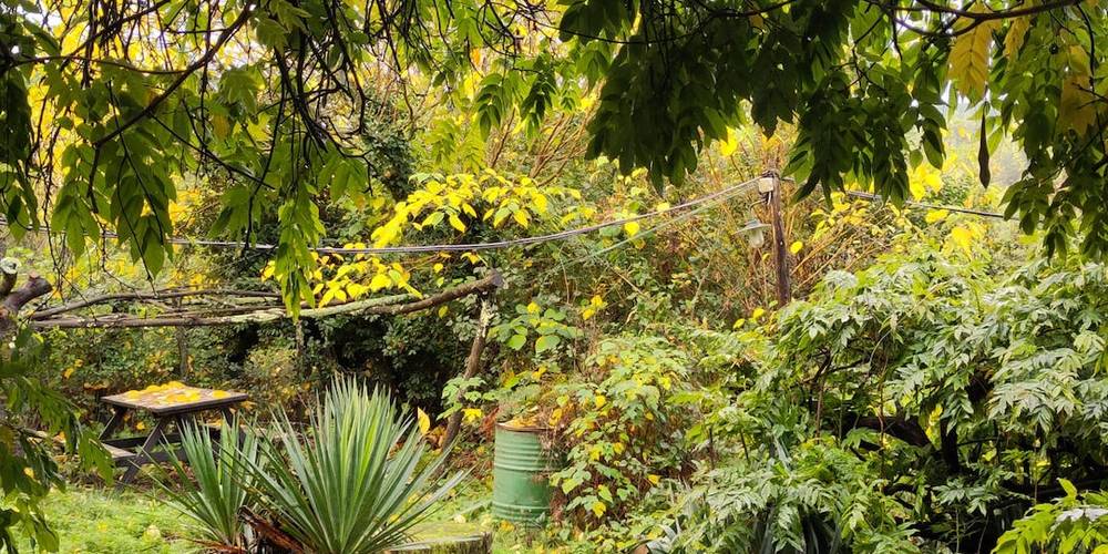  Ferme bio de La Baraque (Occitanie, Gard)