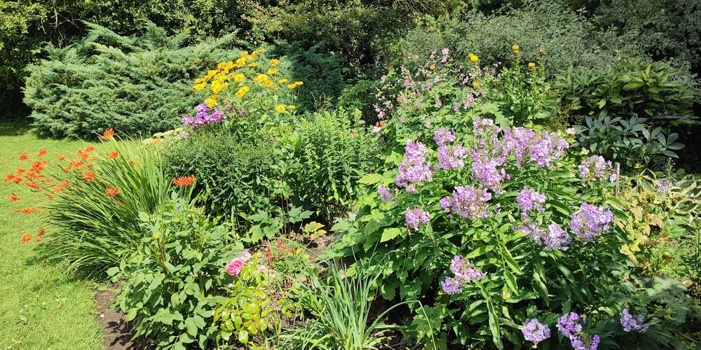tjs le jardin -  LA MAISON DE MADELEINE (Hauts-de-France, Somme)