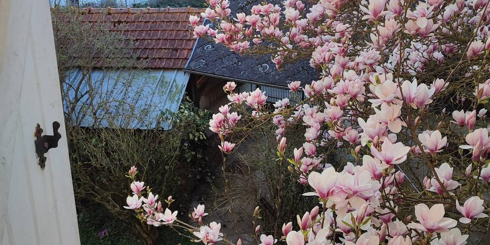 au printemps -  LA MAISON DE MADELEINE (Hauts-de-France, Somme)