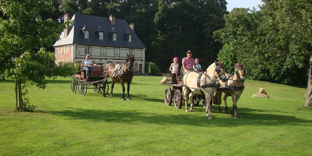  MANOIR D'HERICY (Normandie, Seine-Maritime)