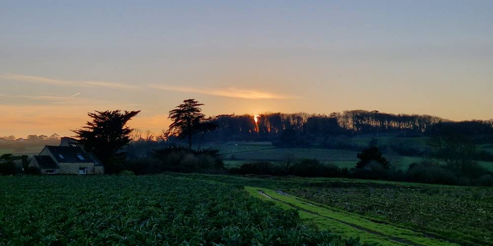 Champs de Plougoulm -  Gîte de Plougoulm (Bretagne, Finistère)