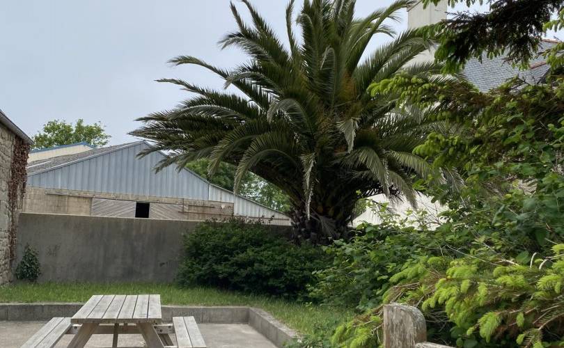 Petit jardin fleuri -  Gîte de Plougoulm (Bretagne, Finistère)