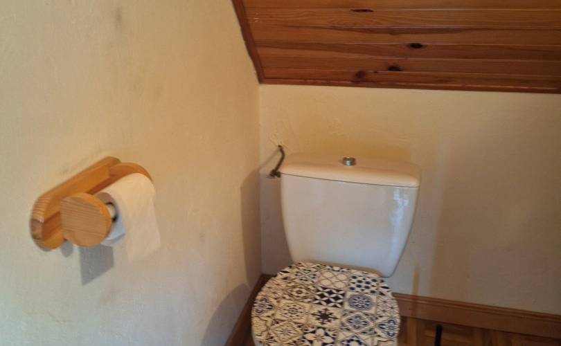 Salle d'eau avec toilettes et lavabo -  Gîte de Plougoulm (Bretagne, Finistère)